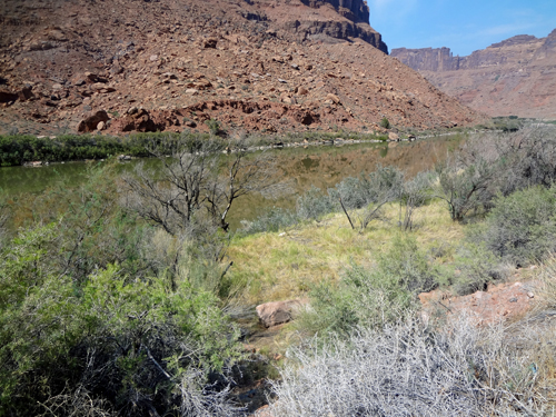 Utah's Colorado Riverway is a scenic wonderland